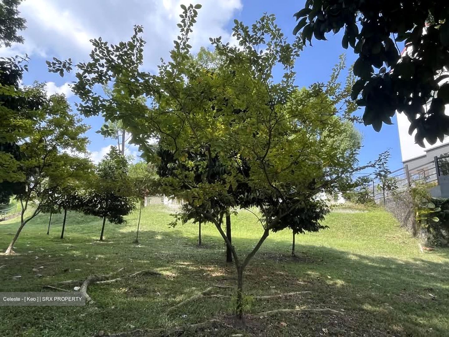 Jervois Meadows (D10), Apartment #583958531